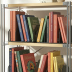 livres dans les ranges documents rangés dans une bibliothèque